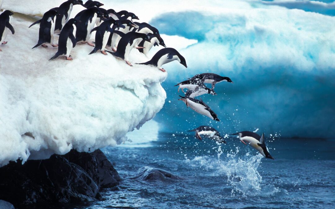 Antarctic Peninsula 11-day