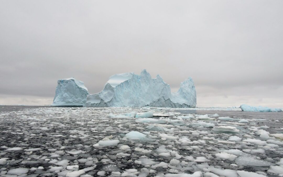 Crossing the Circle: Southern Expedition